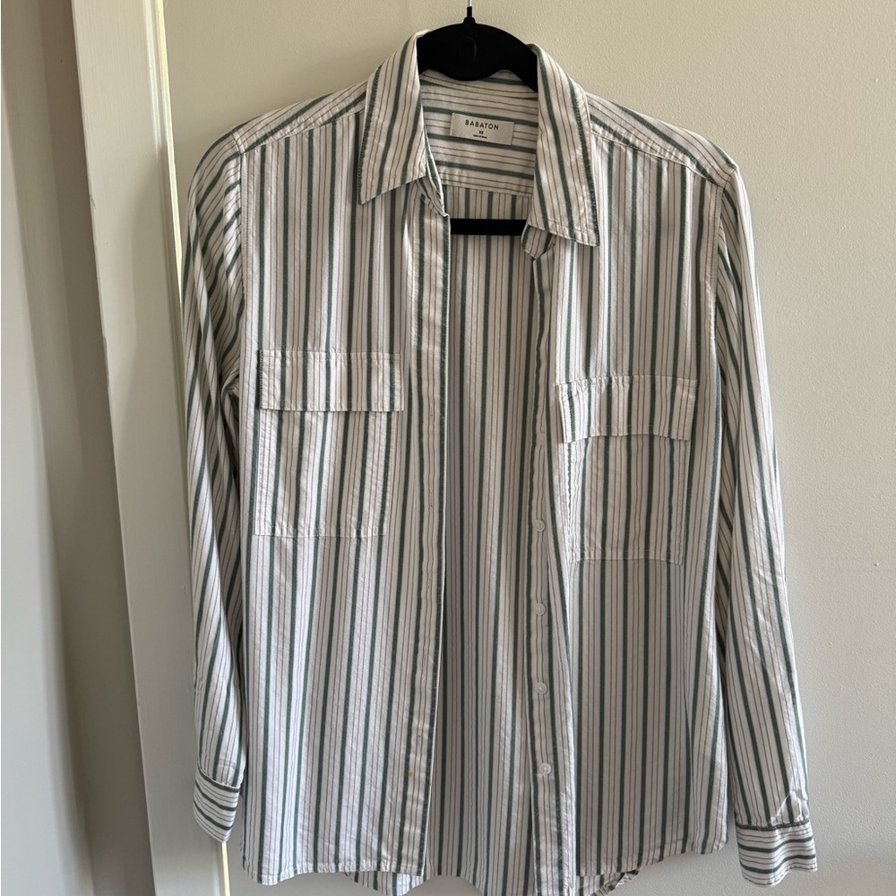 Aritzia Babaton Striped Button Up